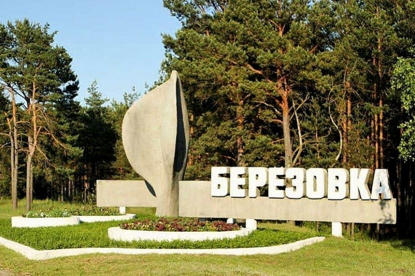 В Березовке подожгли микроавтобус