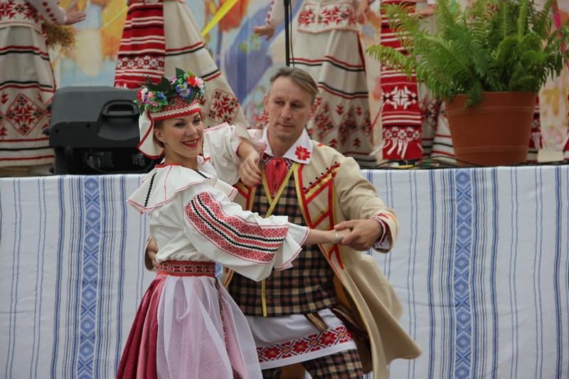 IMG 7174  