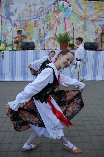 IMG 7368  