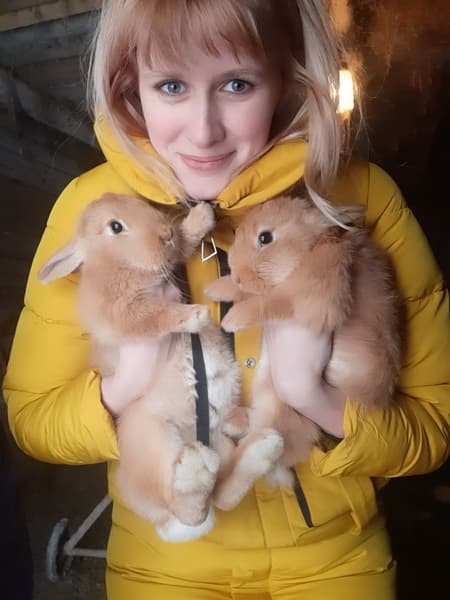 1 новый размер