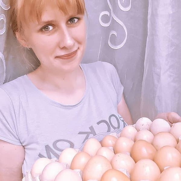 6 новый размер