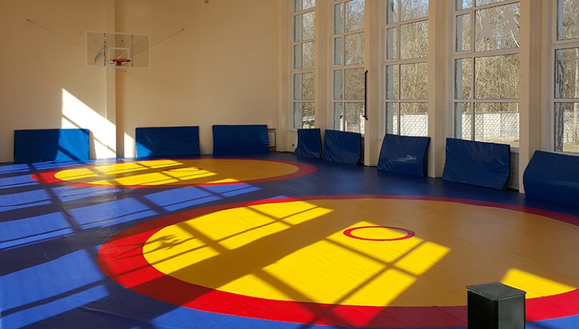 Воспитанницы СДЮШОР №3 по вольной борьбе – сильнейшие в области